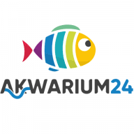 Akwarium24