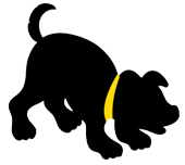 AnimalCity