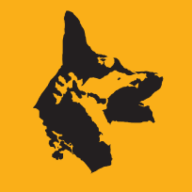 Dingo
