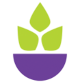 EatFit
