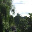 Sean Heelan's Blog